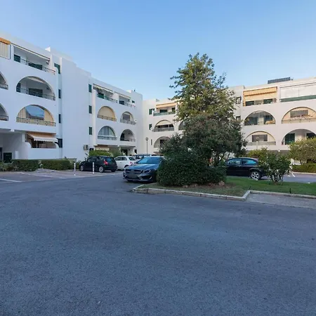 Salgados 1 By Homing *