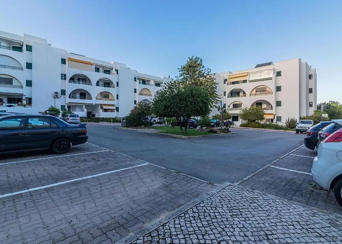 Salgados 1 By Homing *