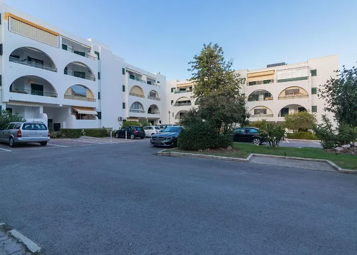 Salgados 1 By Homing *